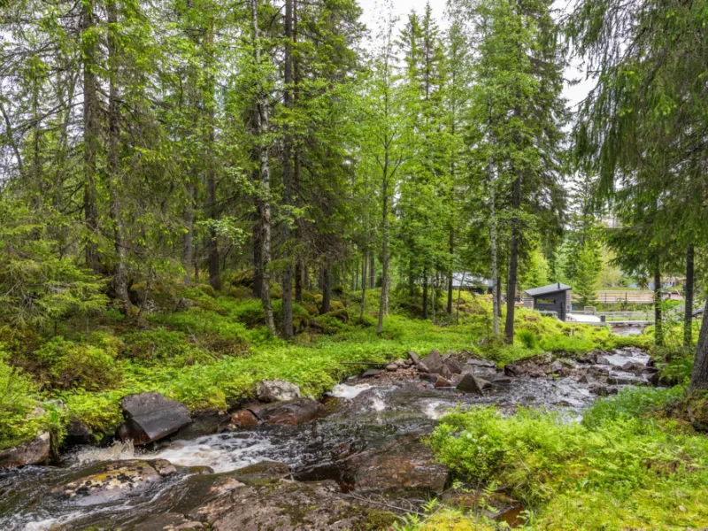 Tomt Silverbäcken 3 Transtrand, Sälen