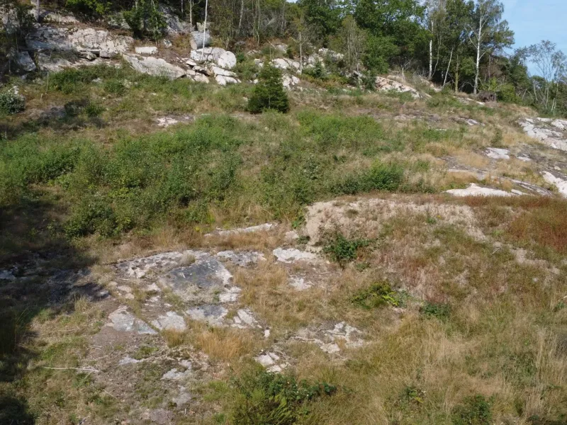 Staby 272, Kärna | Plot | SkandiaMäklarna
