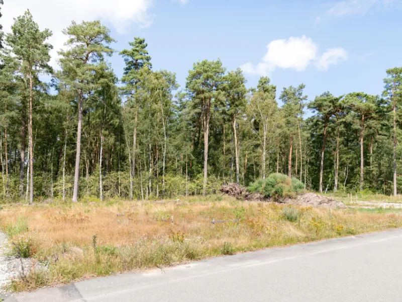 Thimsfuret 15, Vanneberga