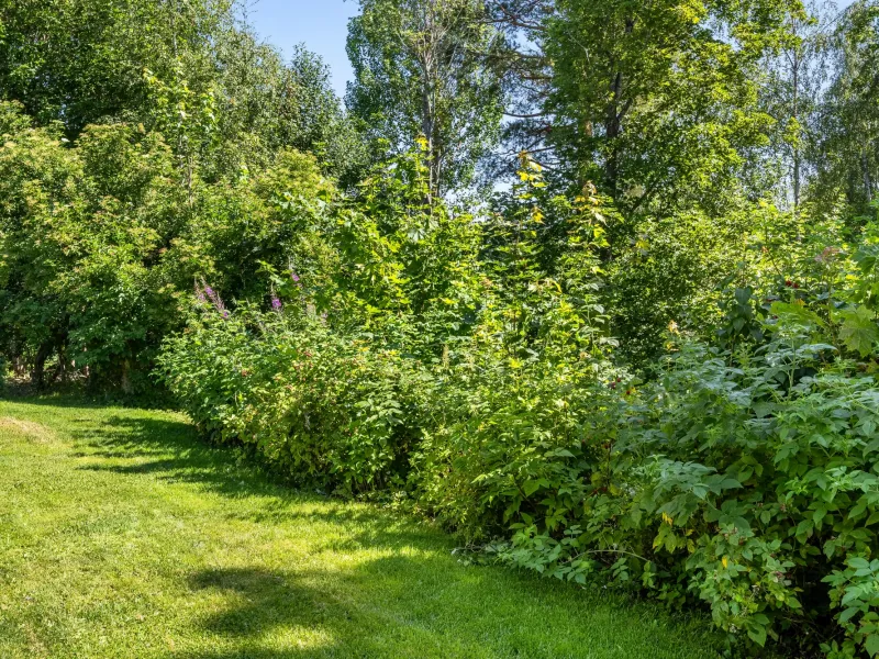 Åsbergsvägen 16, Söderhamn - Villa, 7 rum, 159 m²