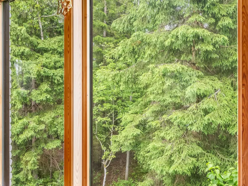 Landsjö Björkåsen