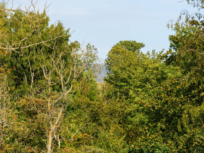 Karlstorpsvägen 36