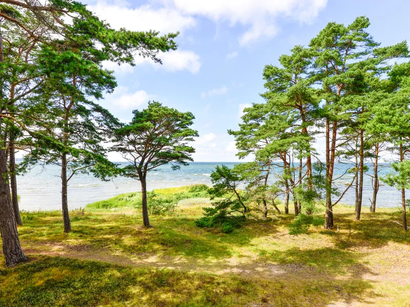 Eksta Hajstäde 248