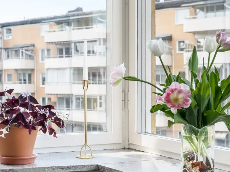 Hospitalsgatan 41