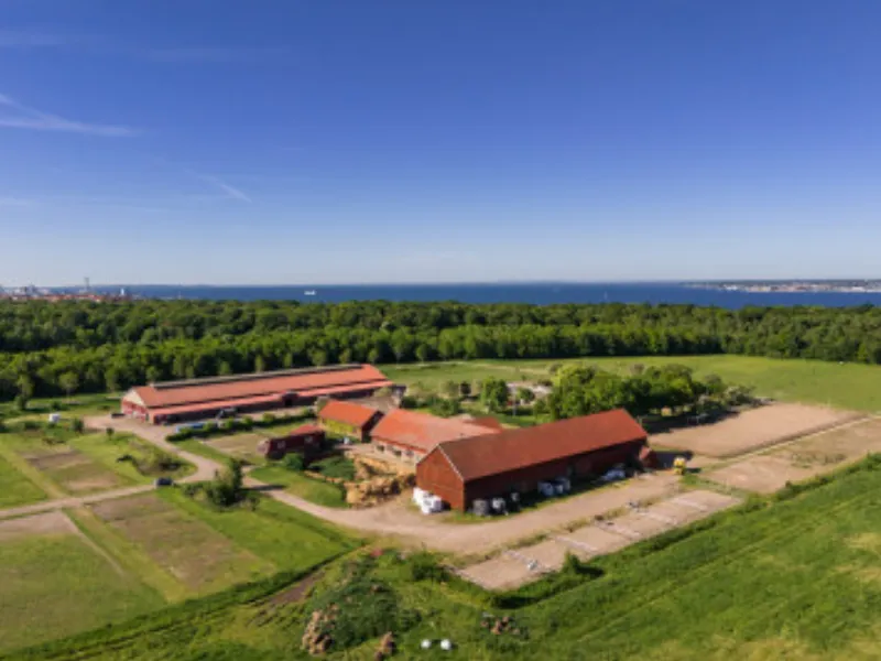 Pålsjö gård - En stadsnära hästgård full av möjligheter