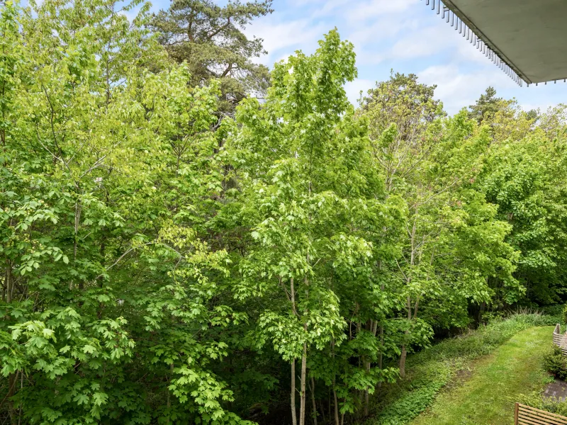 Björketorpsvägen 11