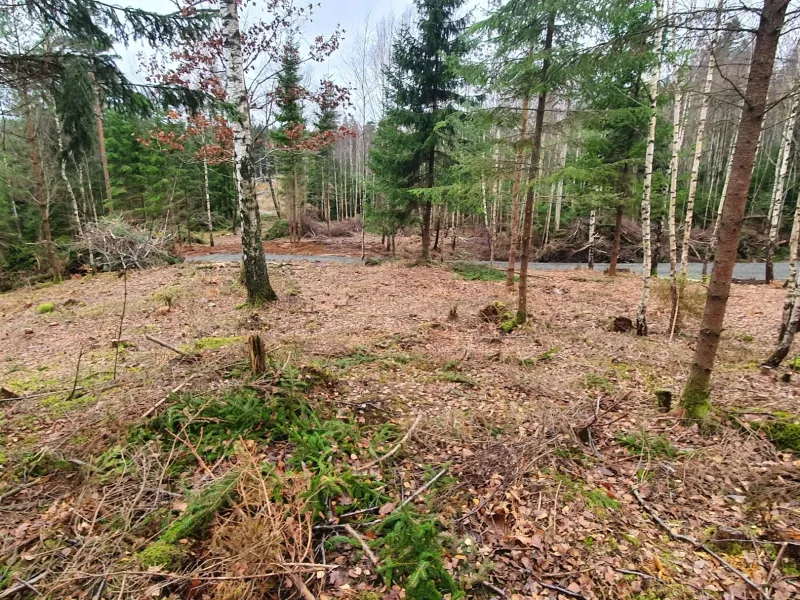 Fridhemsvägen 9C
