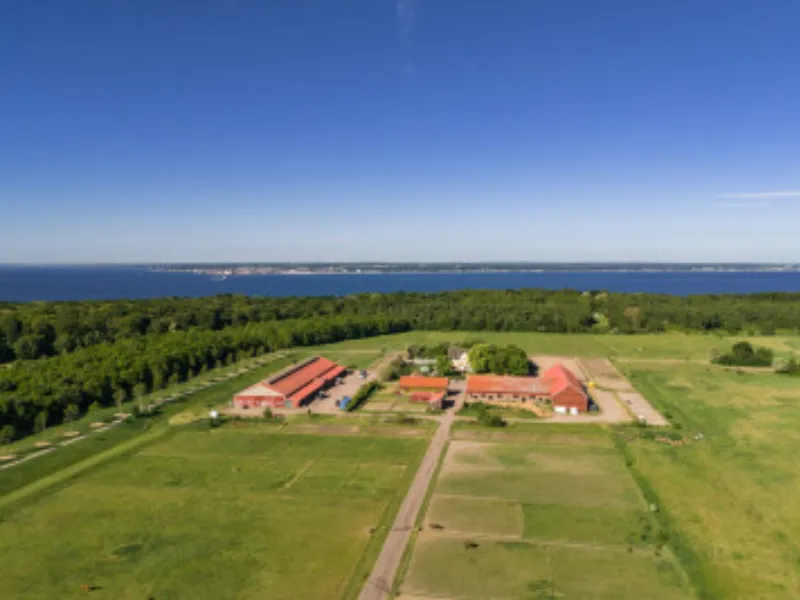 Pålsjö gård - En stadsnära hästgård full av möjligheter