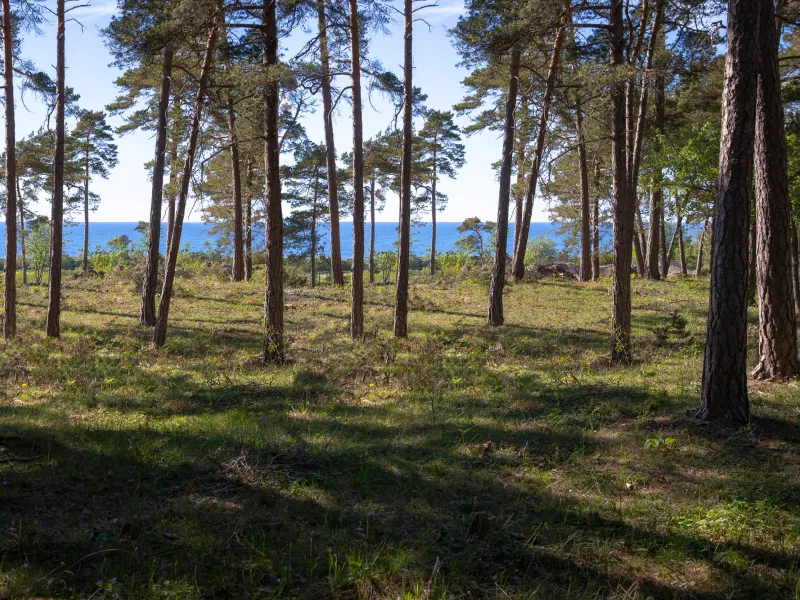 Part of Lummelunda Överstekvarn 1:67 (Tomt 8), Lummelunda, Gotland