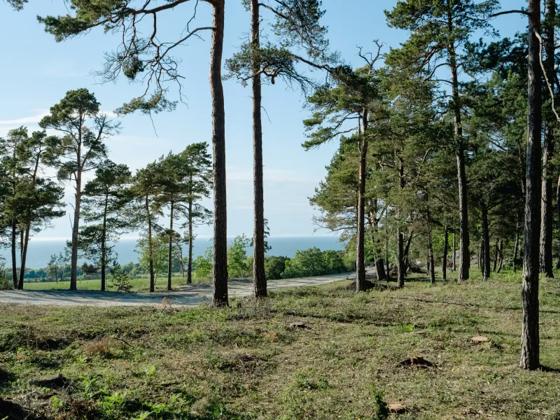 Part of Lummelunda Överstekvarn 1:67 (Tomt 8), Lummelunda, Gotland
