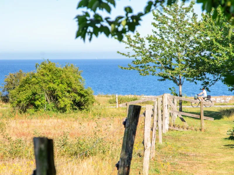 Ringvägen 17