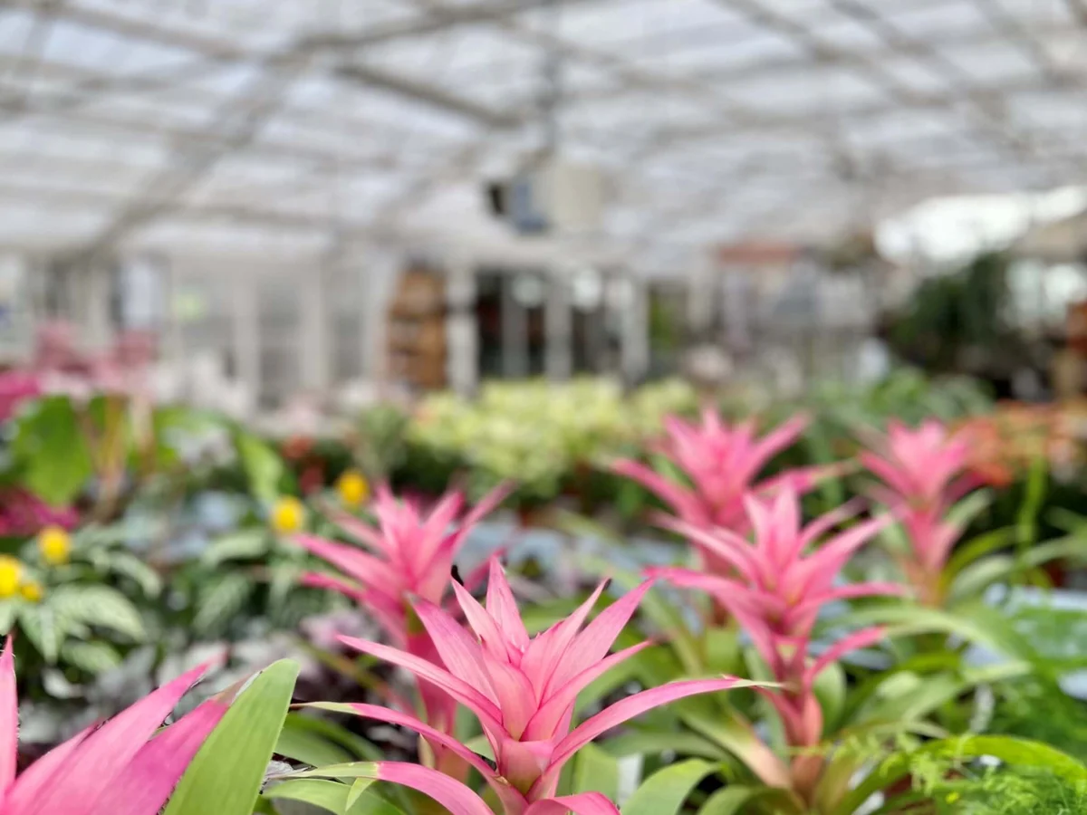 Ullstorp Garden Center